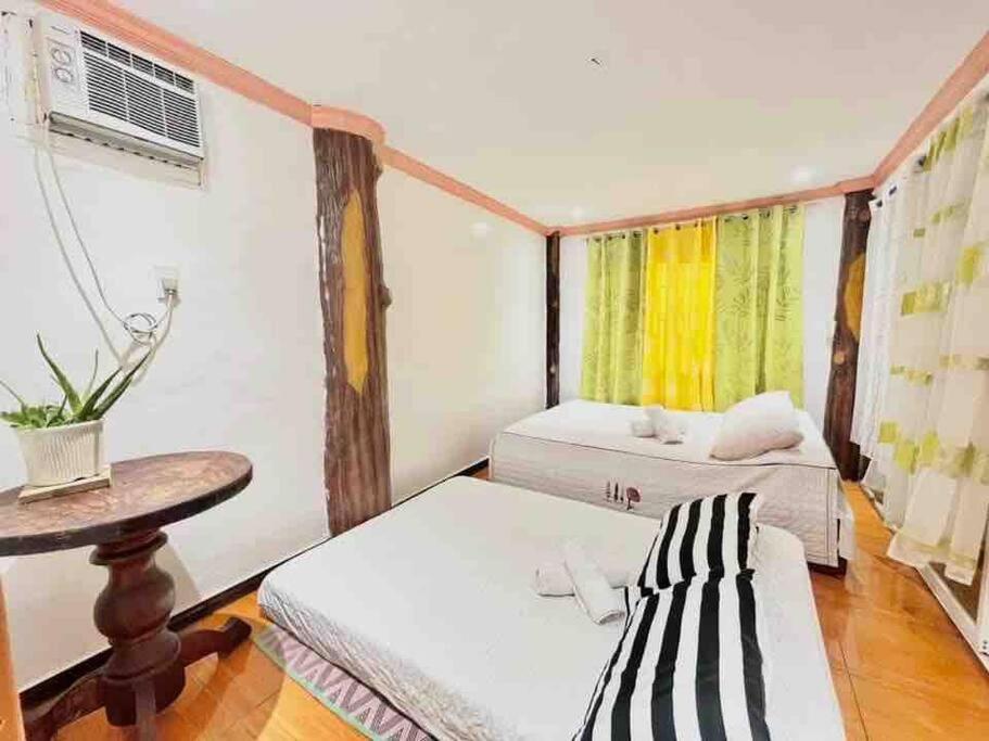 Precious Homestay Burgos  エクステリア 写真