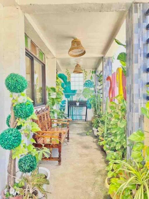 Precious Homestay Burgos  エクステリア 写真